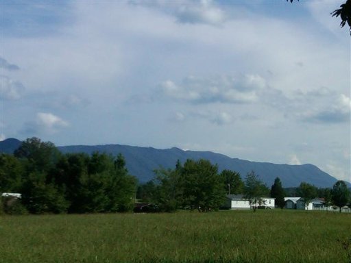 2811 Jr Williams Road Dandridge, TN 37725 - Photo 3 of 9 Additional Photo
