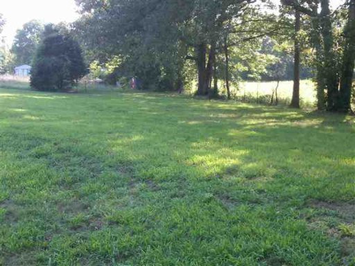 2811 Jr Williams Road Dandridge, TN 37725 - Photo 6 of 9 Additional Photo