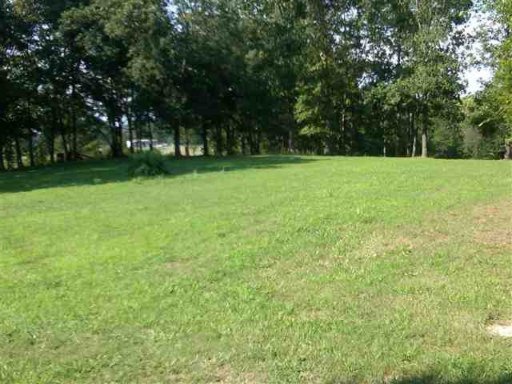 2811 Jr Williams Road Dandridge, TN 37725 - Photo 7 of 9 Additional Photo