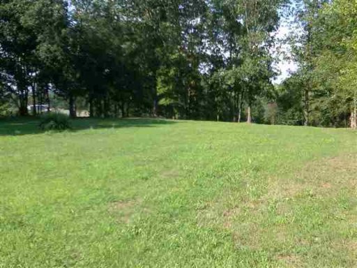 2811 Jr Williams Road Dandridge, TN 37725 - Photo 8 of 9 Additional Photo