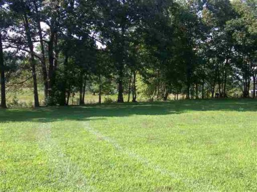 2811 Jr Williams Road Dandridge, TN 37725 - Photo 9 of 9 Additional Photo
