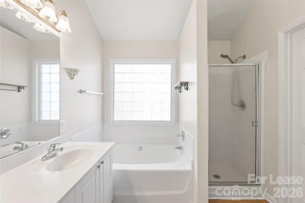 a bathroom with a tub sink and mirror