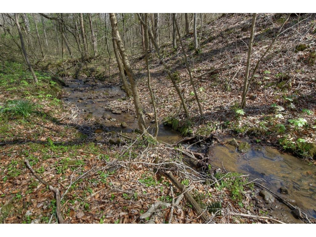 2137 David Miller Road Johnson City, TN 37604 - Photo 11 of 35 Photo 11
