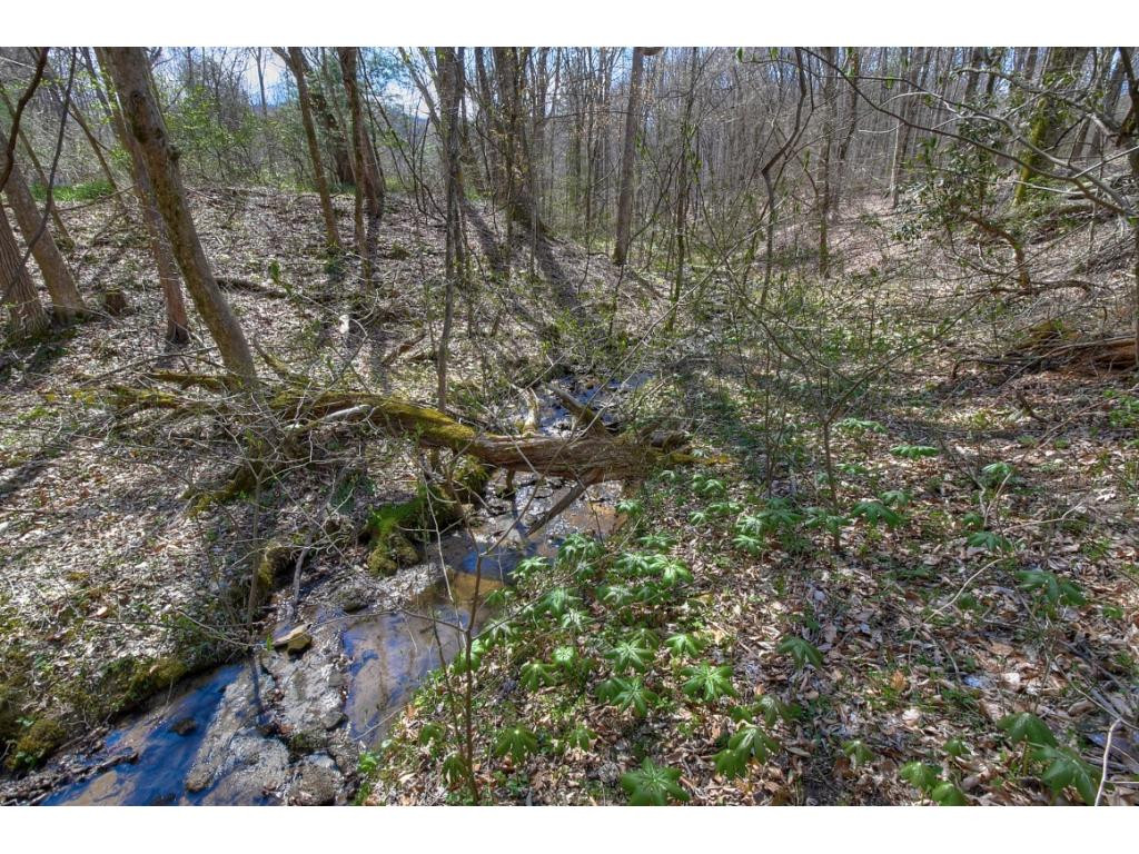 2137 David Miller Road Johnson City, TN 37604 - Photo 31 of 35 Photo 31