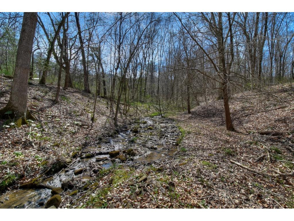 2137 David Miller Road Johnson City, TN 37604 - Photo 10 of 35 Photo 10