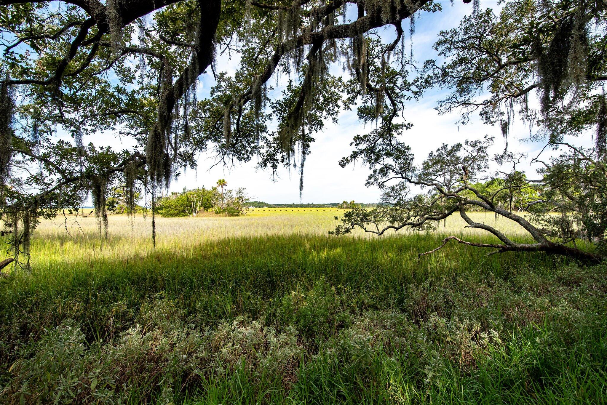 2138 Landfall Way Seabrook Island, SC 29455 - Photo 21 of 40 48-2138 Landfall Way_e_Lowcountry_Exposu
