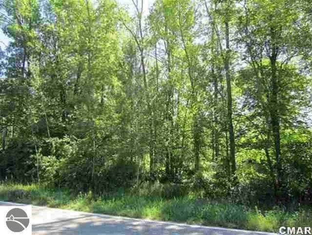 500 South Shepherd Road Mount Pleasant, MI 48858 - Photo 2 of 5 1867791-1.JPG