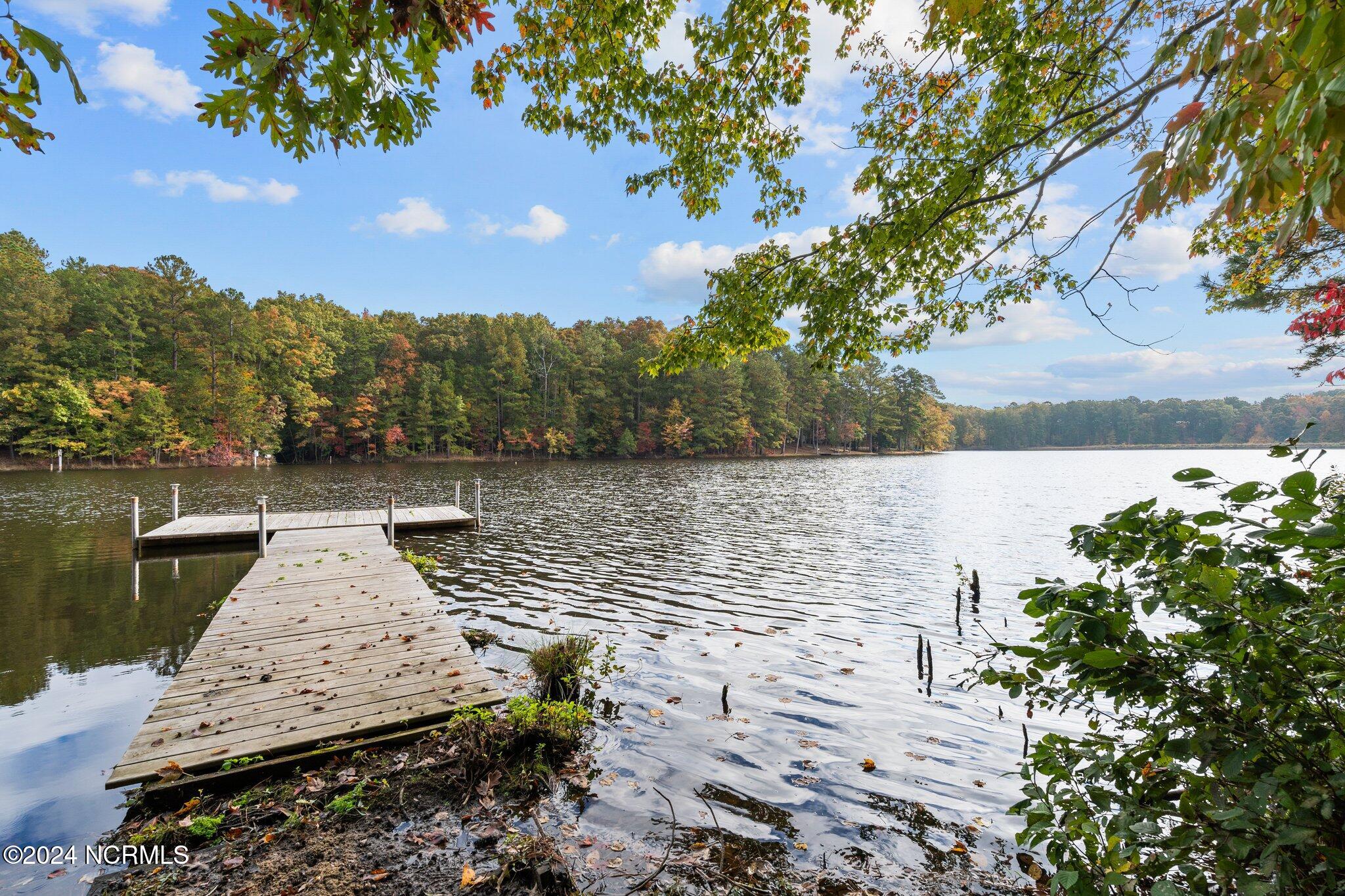192 Palomino Road Carthage, NC 28327 - Photo 47 of 51 49-web-or-mls-DSC08256