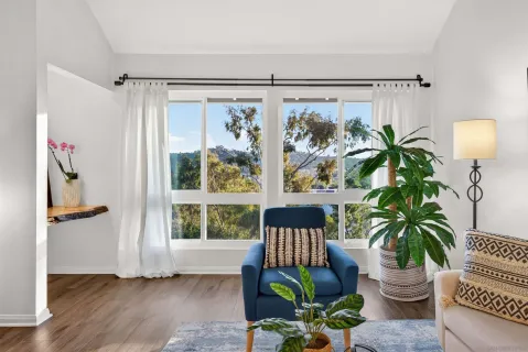 a living room filled with furniture and a potted plant
