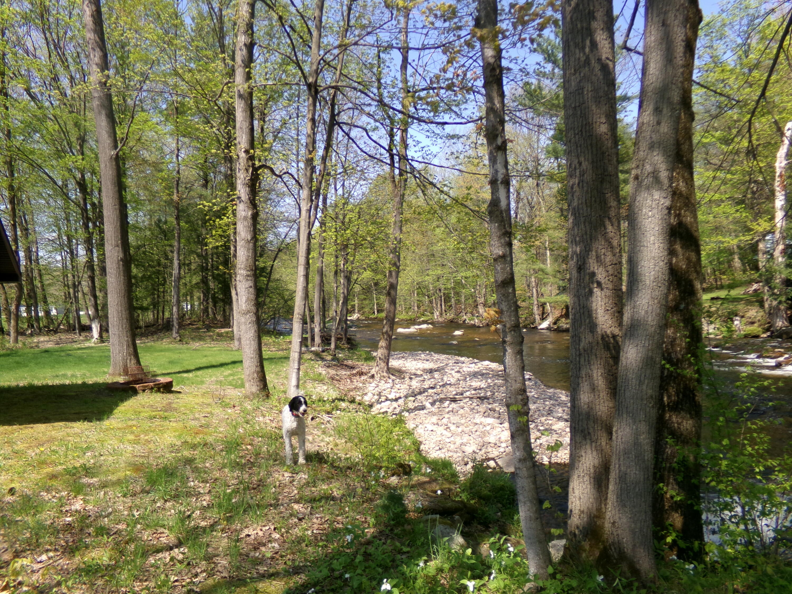 55 Riverside Drive Constable, NY 12926 - Photo 6 of 18 100_0475
