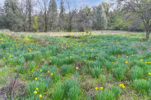 $169,000 | 2500 North View Lane, Placerville, CA 95667