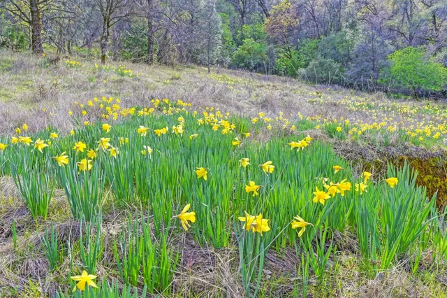 $169,000 | 2500 North View Lane, Placerville, CA 95667