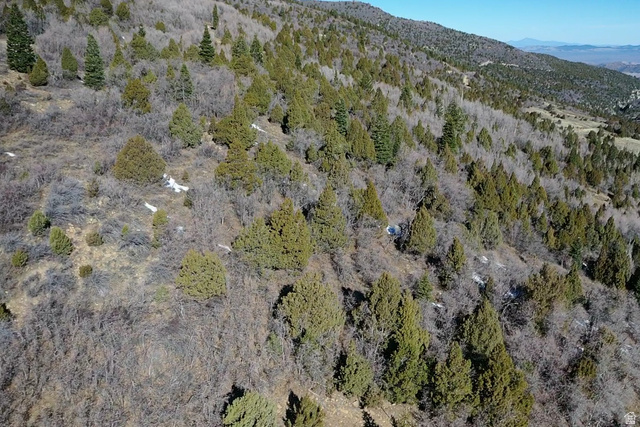 Undisclosed Address Summit, UT 84772 - Photo 4 of 19 Bird's eye view of a mountain backdrop and a heavily wooded area