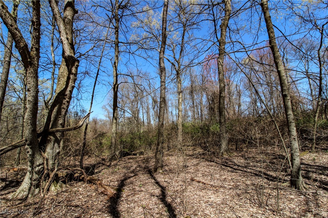 Mercer Rd Street Bridgeport, OH 43912 - Photo 12 of 19 View of landscape