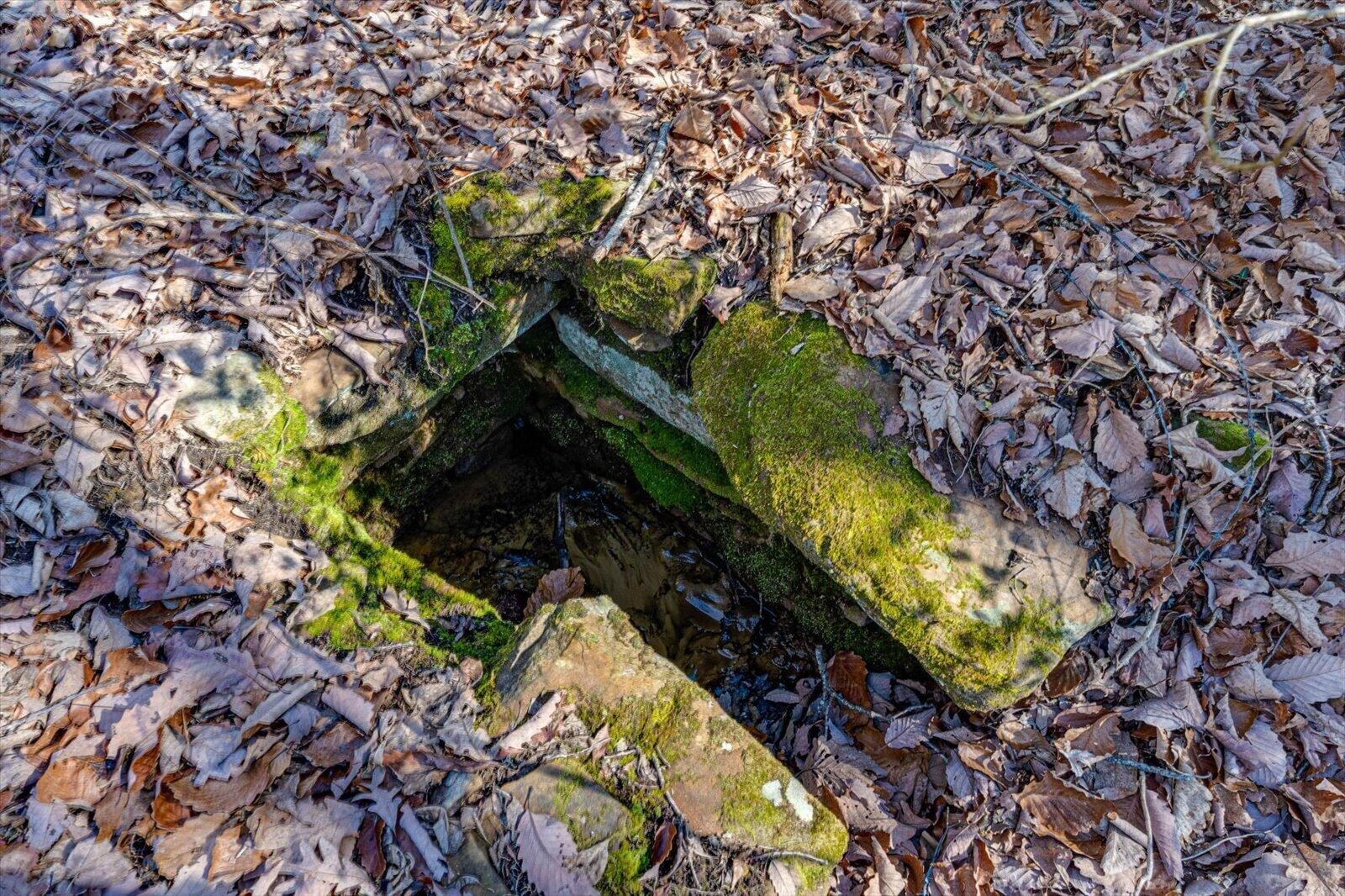805 Dukes Road Signal Mountain, TN 37377 - Photo 26 of 33 Gallery Image 26