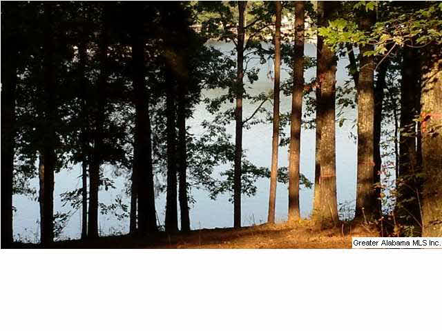 237 Valley View Drive Cropwell, AL 35054 - Photo 1 of 3