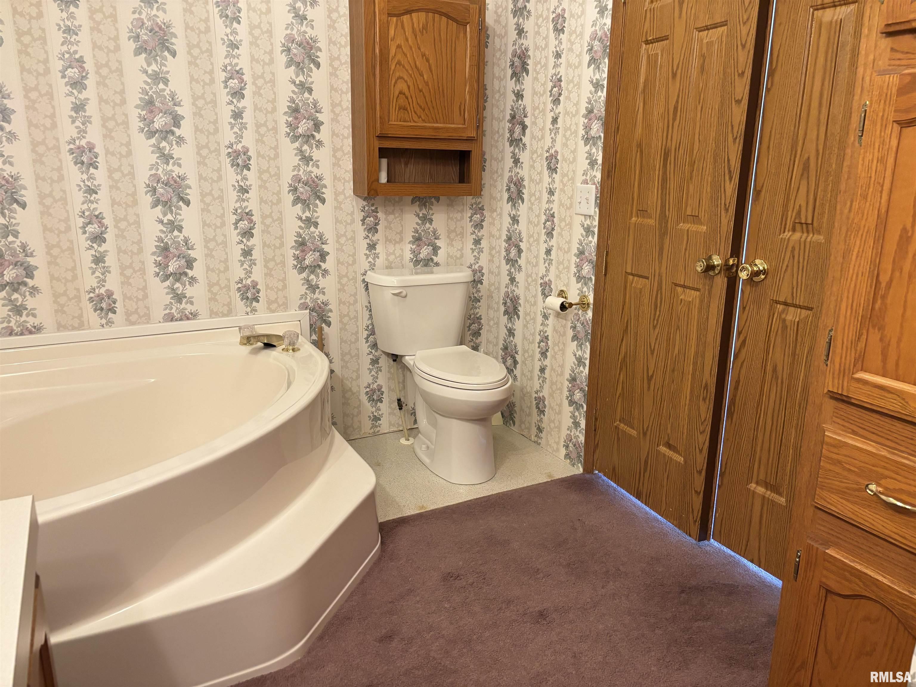 6000 Lick Creek Road Anna, IL 62906 - Photo 35 of 41