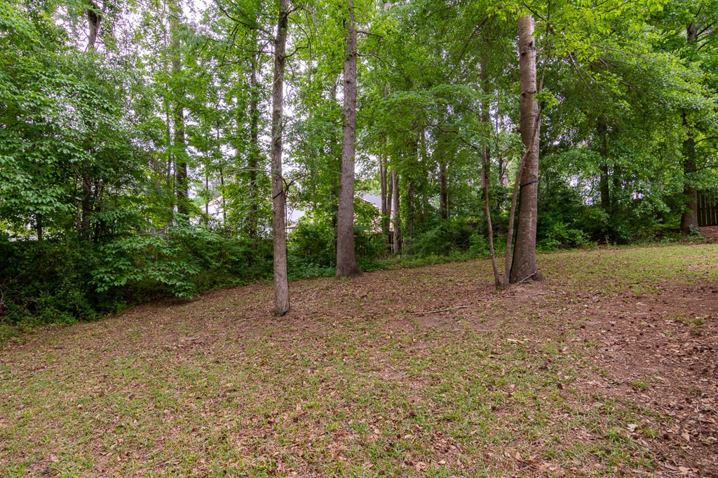 311 Bridle Path Road North Augusta, SC 29860 - Photo 34 of 34
