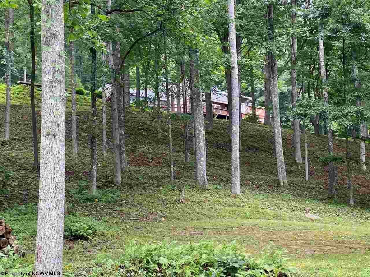 2957 Oak Grove Road Independence, WV 26374 - Photo 19 of 20 Gallery Image 19