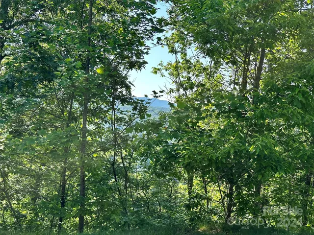 $75,000 | 385 Wild River Run, Unit 7, Marshall, NC 28753