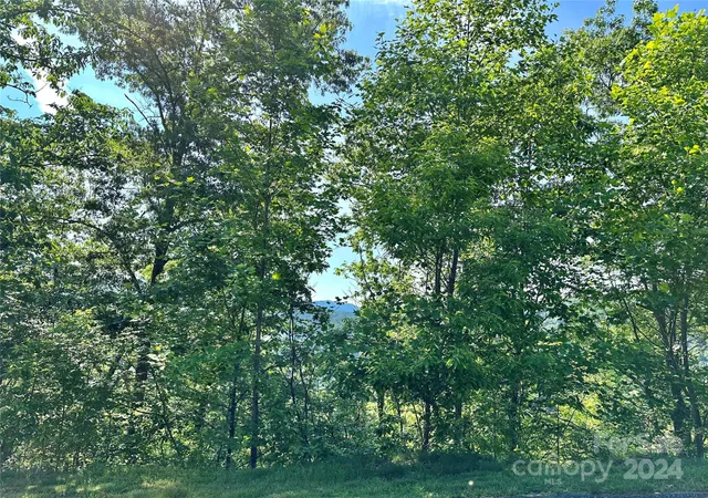 $75,000 | 385 Wild River Run, Unit 7, Marshall, NC 28753