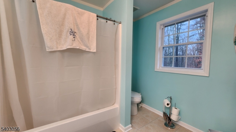 52 Fox Hollow Road Montague, NJ 07827 - Photo 37 of 45 a bathroom with a shower and a toilet