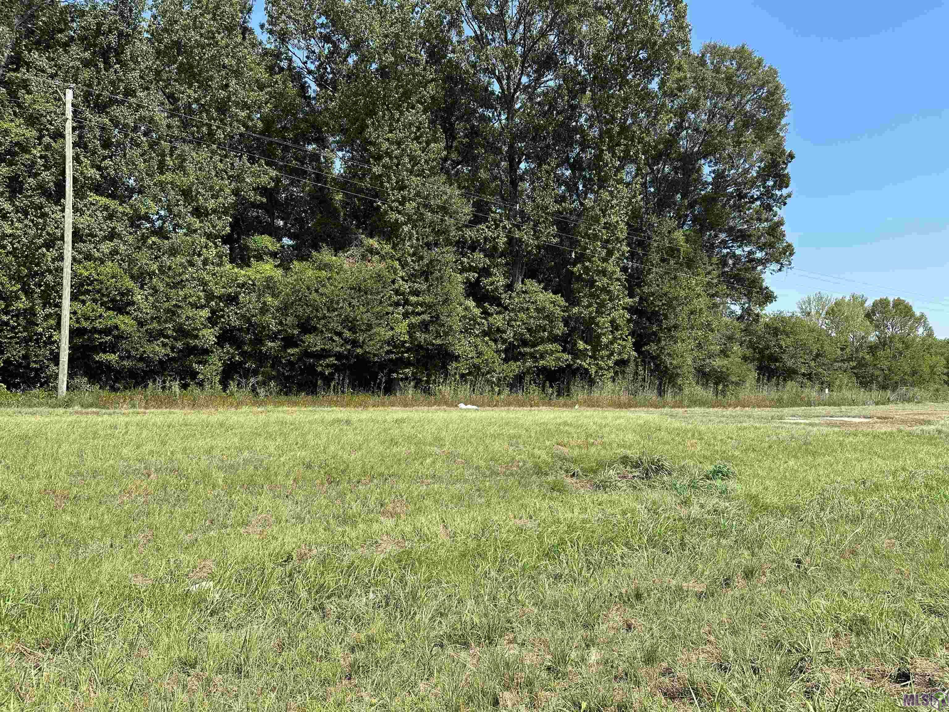 16100 Samuels Road Zachary, LA 70791 - Photo 2 of 3