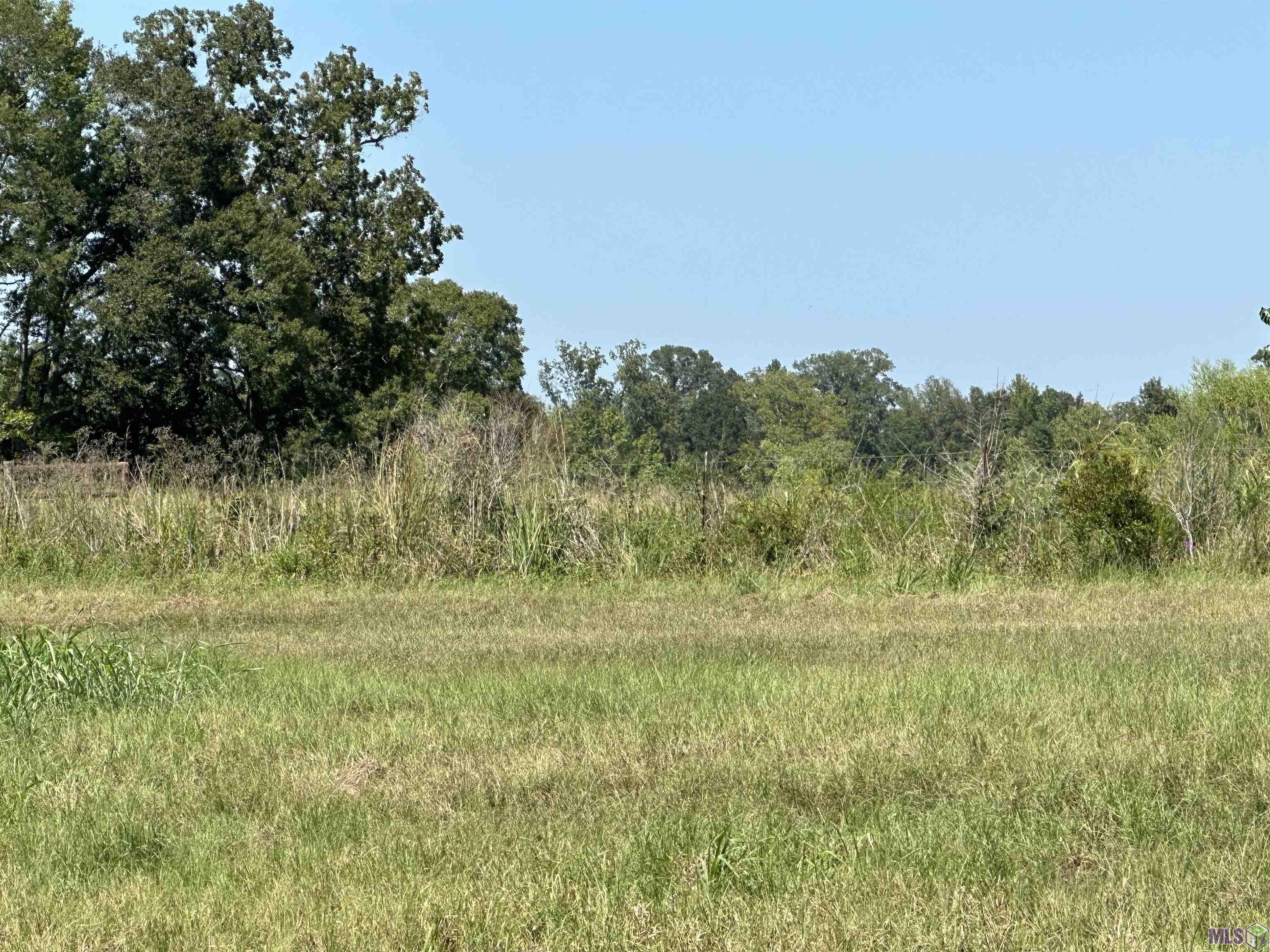 16100 Samuels Road Zachary, LA 70791 - Photo 3 of 3