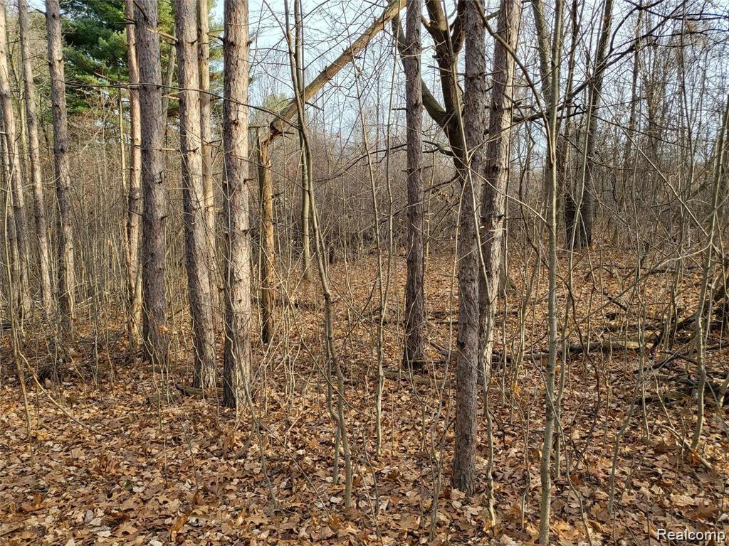 4320 West Oregon Road Lapeer, MI 48446 - Photo 62 of 63