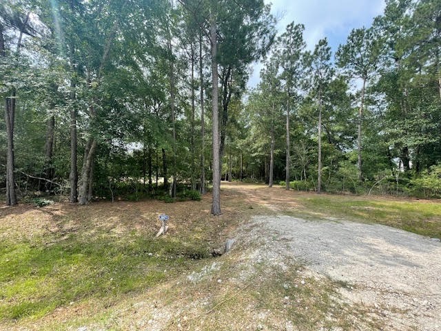 28171 Joseph Road Hockley, TX 77447 - Photo 13 of 28 a view of backyard with green space