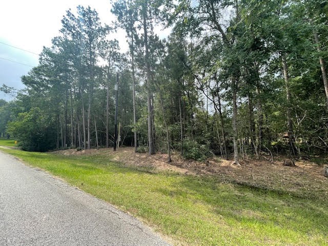 28171 Joseph Road Hockley, TX 77447 - Photo 14 of 28 a view of outdoor space with trees all around