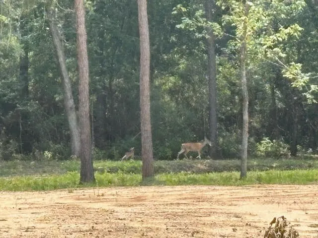 $449,900 | 28171 Joseph Road, Hockley, TX 77447