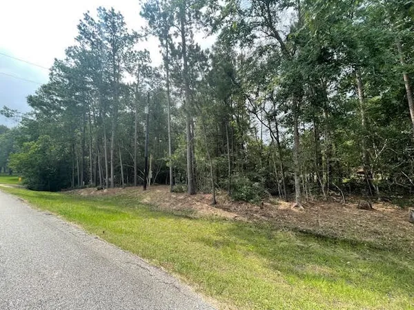 $434,950 | 28171 Joseph Road, Hockley, TX 77447