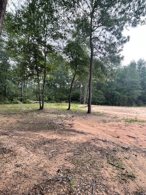 28171 Joseph Road Hockley, TX 77447 - Photo 16 of 28 a view of outdoor space with trees