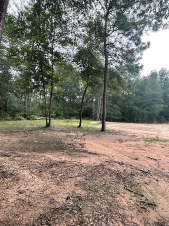 $434,950 | 28171 Joseph Road, Hockley, TX 77447