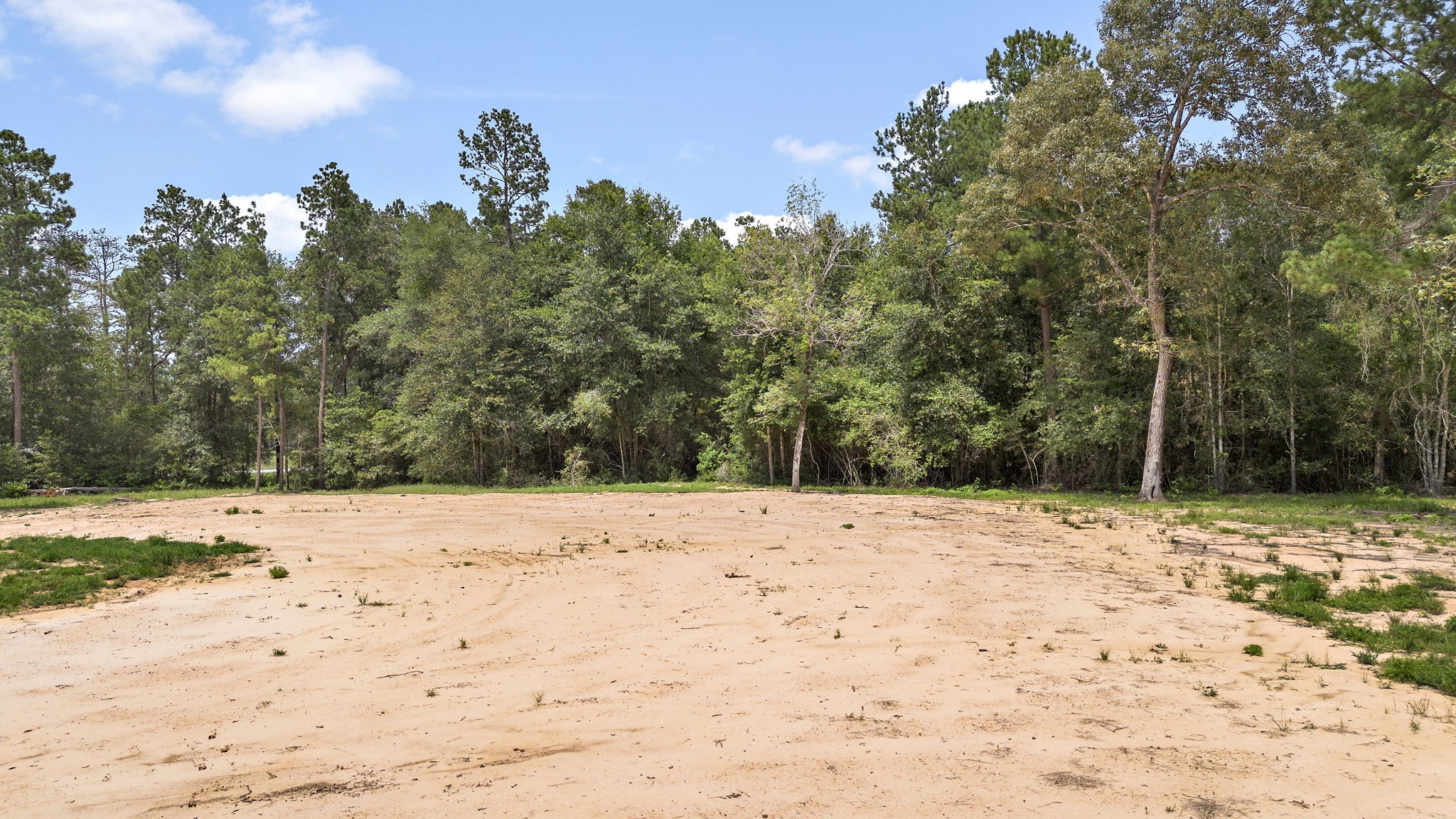 28171 Joseph Road Hockley, TX 77447 - Photo 25 of 28 a view of a yard with trees