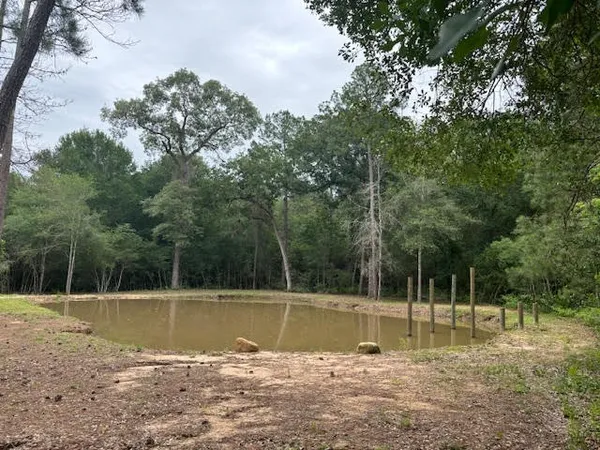 $434,950 | 28171 Joseph Road, Hockley, TX 77447