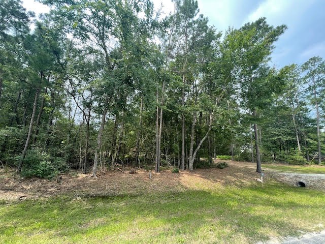 28171 Joseph Road Hockley, TX 77447 - Photo 5 of 28 a view of a park with large trees