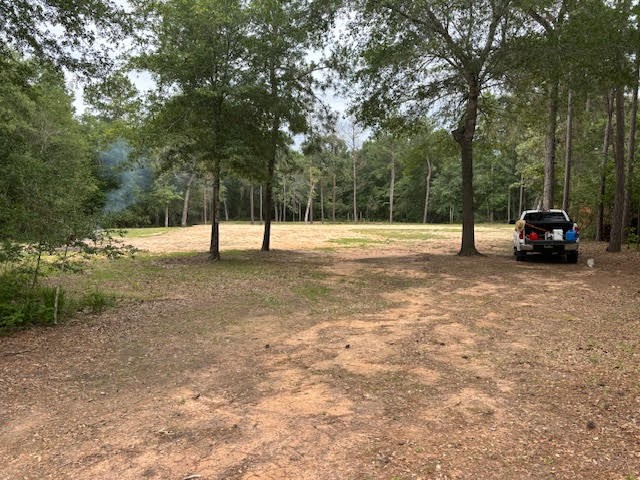 28171 Joseph Road Hockley, TX 77447 - Photo 7 of 28 a view of outdoor space with deck and trees