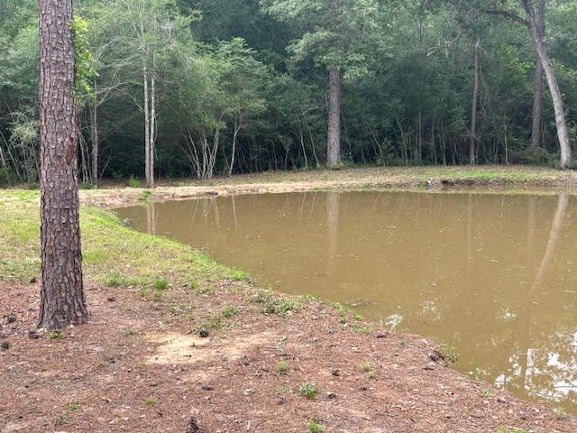 28171 Joseph Road Hockley, TX 77447 - Photo 8 of 28 a view of a swimming pool with a yard