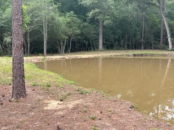 $434,950 | 28171 Joseph Road, Hockley, TX 77447