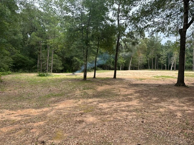 28171 Joseph Road Hockley, TX 77447 - Photo 9 of 28 a view of outdoor space with trees