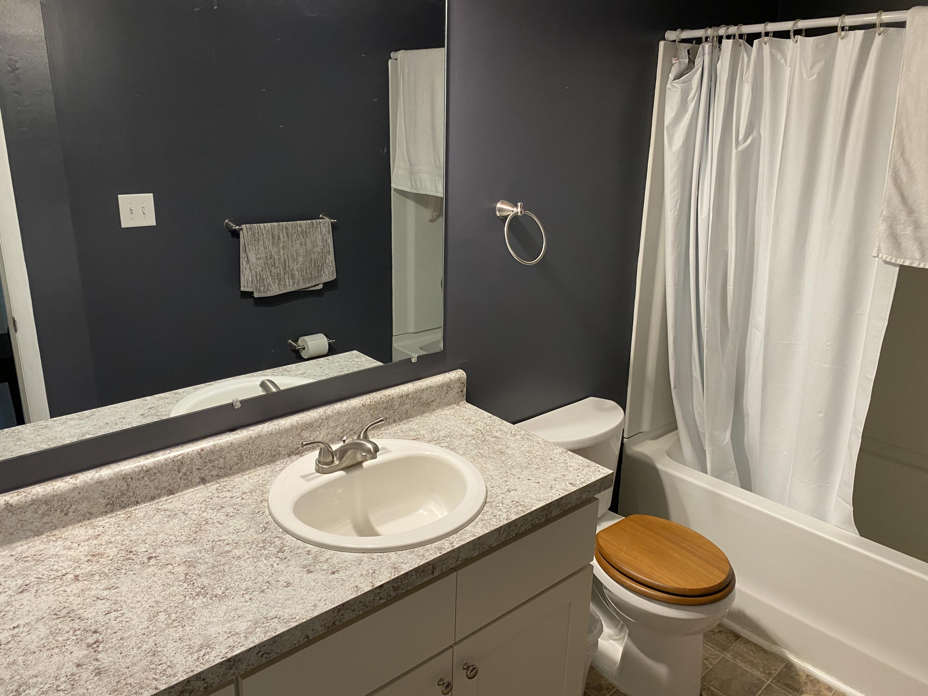 1613 Honeysuckle Road Raleigh, NC 27609 - Photo 21 of 24 a bathroom with a granite countertop sink toilet and a mirror