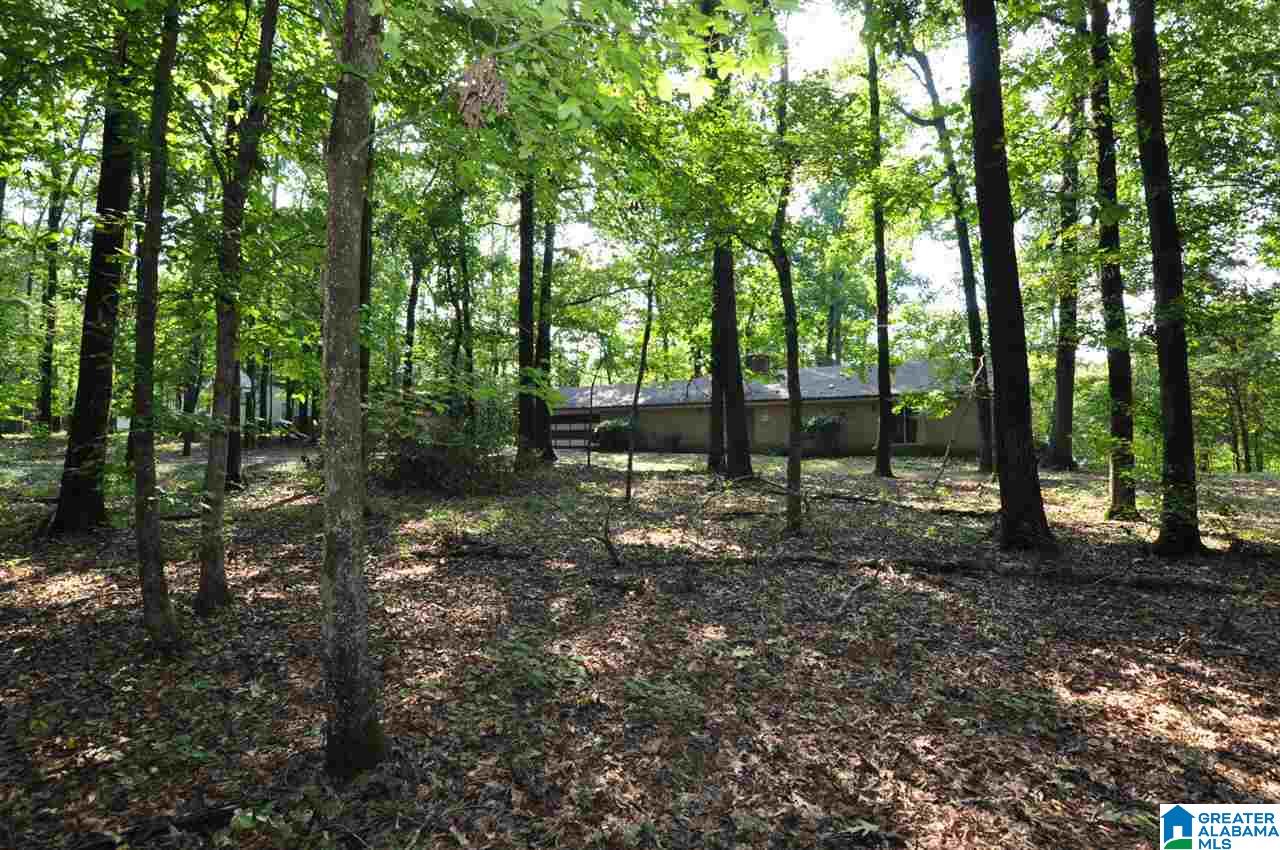 78 Harris Lane Alabaster, AL 35114 - Photo 29 of 30