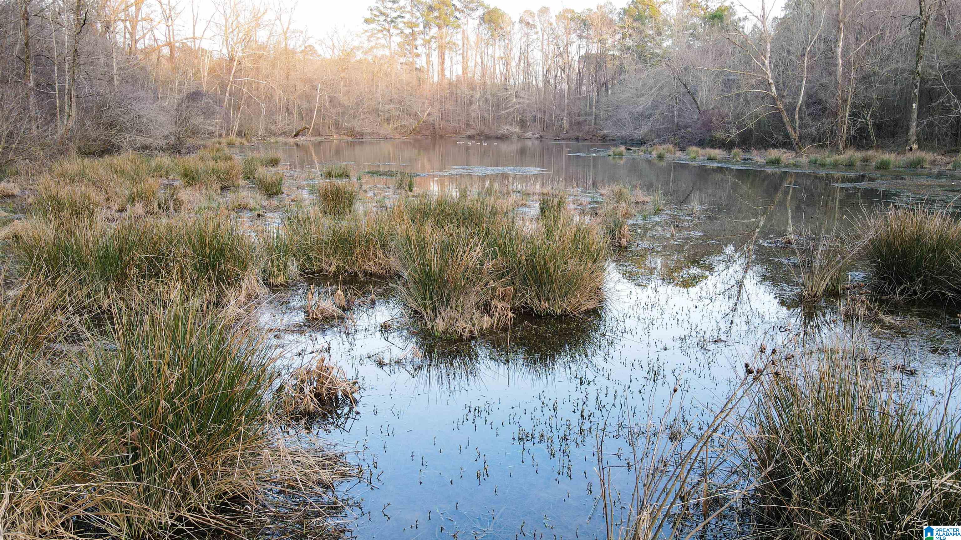 0 Parsons Loop Road Mulga, AL 35118 - Photo 14 of 38