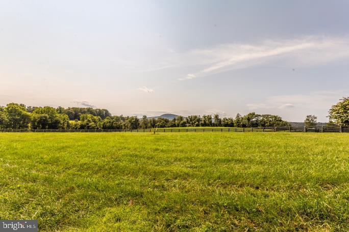 16700 Thurston Road Dickerson, MD 20842 - Photo 6 of 118 Gallery Image 6
