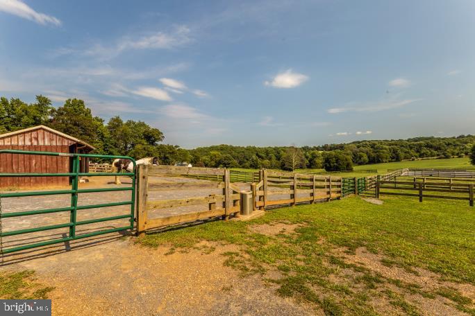 16700 Thurston Road Dickerson, MD 20842 - Photo 57 of 118 Gallery Image 57