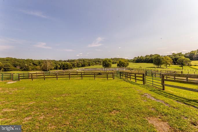16700 Thurston Road Dickerson, MD 20842 - Photo 60 of 118 Gallery Image 60