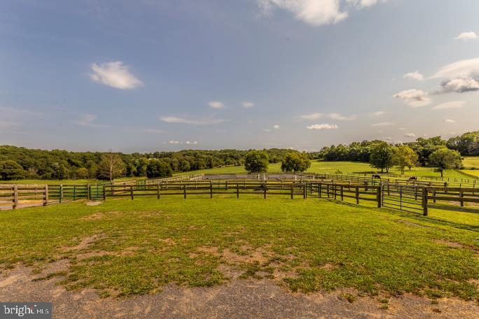 16700 Thurston Road Dickerson, MD 20842 - Photo 64 of 118 Gallery Image 64