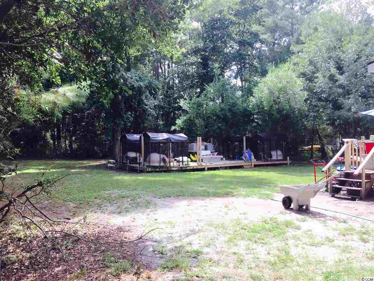 1081 Lulu Loop Murrells Inlet, SC 29576 - Photo 14 of 16